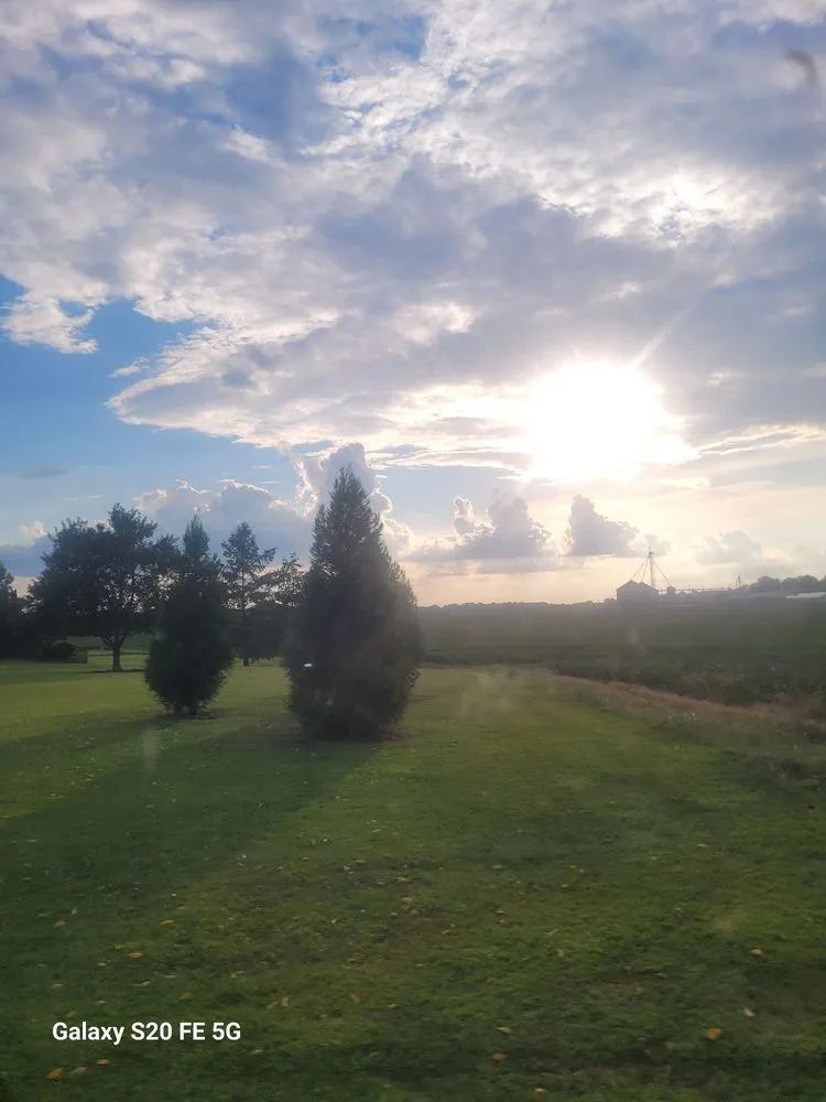 Affordable lawn mowing service in Ardmore, AL - Montgomery Capital Property Management