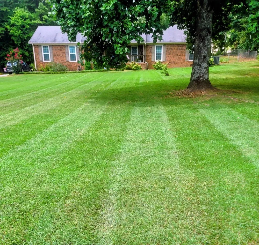 Reliable lawn care service experts serving Ardmore, AL - Montgomery Capital Property Management