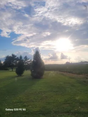 Montgomery Capital Property Management