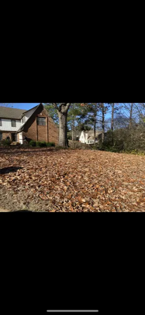 Custom residential landscaping near you in Collierville, TN by Montgomery Landscaping