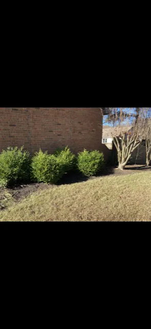 Reliable yard maintenance in Collierville, TN - Montgomery Landscaping
