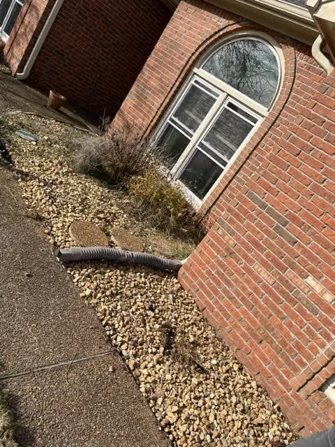 Local landscape installation for homes in Collierville, TN by Montgomery Landscaping