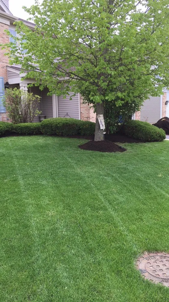 Reliable landscaping services in Oswego, IL - Montgomery Landscaping
