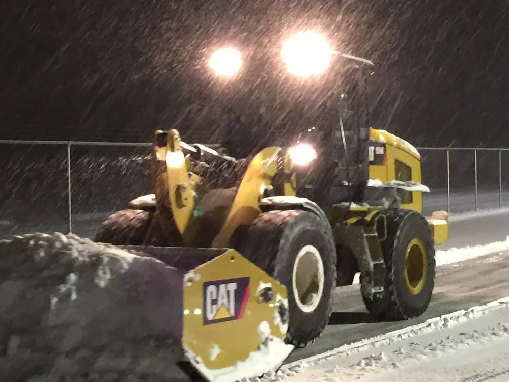 Reliable yard cleanup service experts serving Oswego, IL - Montgomery Landscaping