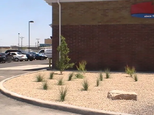 Affordable lawn care service in El Paso, TX by Montgomery Sprinklers & Landscapes