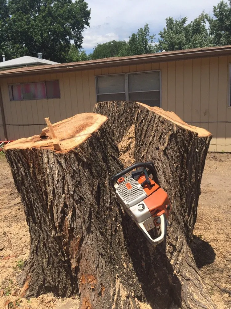 Affordable outdoor landscaping for residential properties in Eldorado, KS by Montgomery Tree Service