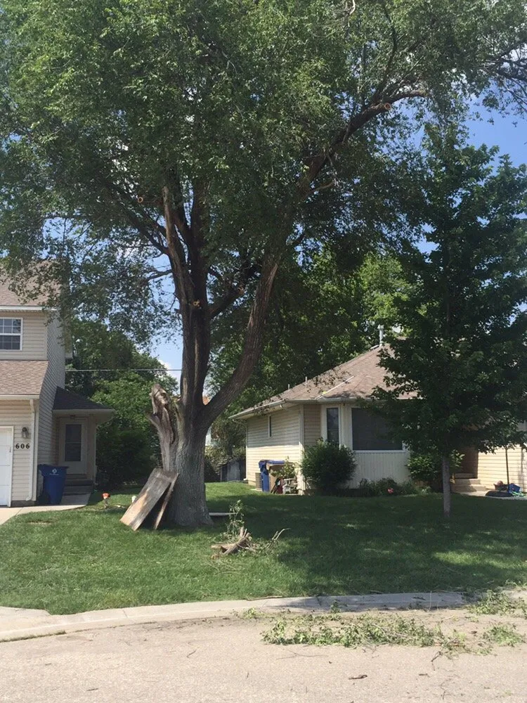 Reliable garden landscaping for residential properties across Eldorado, KS - Montgomery Tree Service