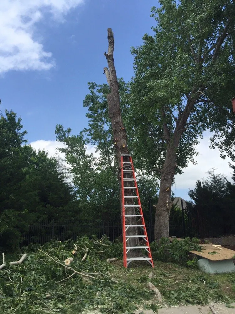 Trusted lawn care service in Eldorado, KS by Montgomery Tree Service