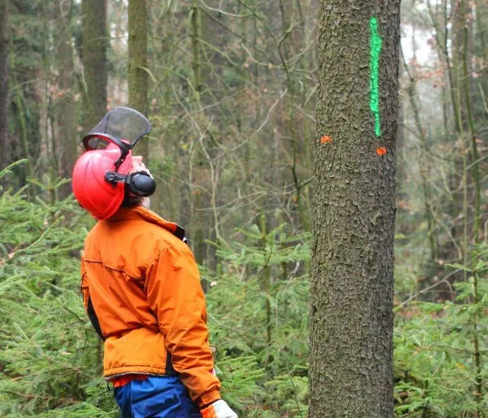 Expert landscape design experts serving Montgomery, AL - Montgomery Tree Trimming & Removal Service