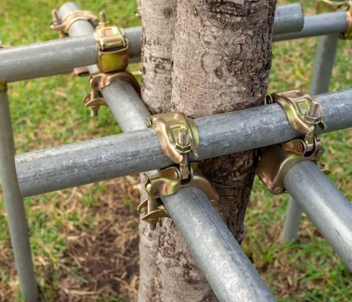 Expert landscape installation for homes in Montgomery, AL by Montgomery Tree Trimming & Removal Service