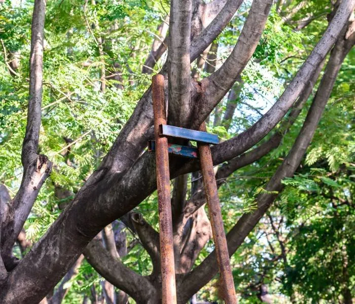 Reliable yard cleanup service for beautiful yards in Montgomery, AL by Montgomery Tree Trimming & Removal Service