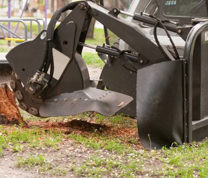 Local landscaping services in Montgomery, AL by Montgomery Tree Trimming & Removal Service