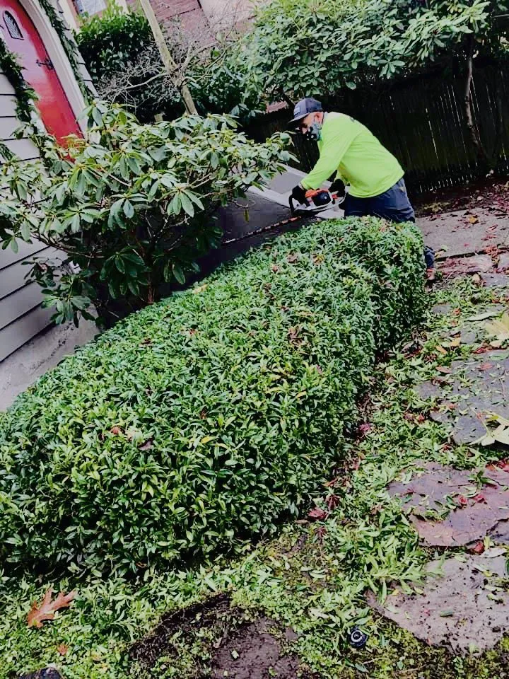 Top-rated residential landscaping for residential properties in Edmonds, WA by Montiel Landscaping Service