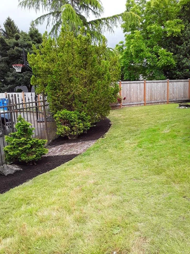 Local residential landscaping in Edmonds, WA by Montiel Landscaping Service