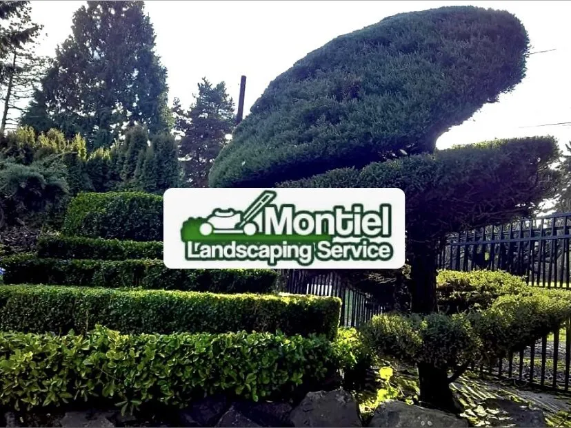 Local yard maintenance experts serving Edmonds, WA - Montiel Landscaping Service