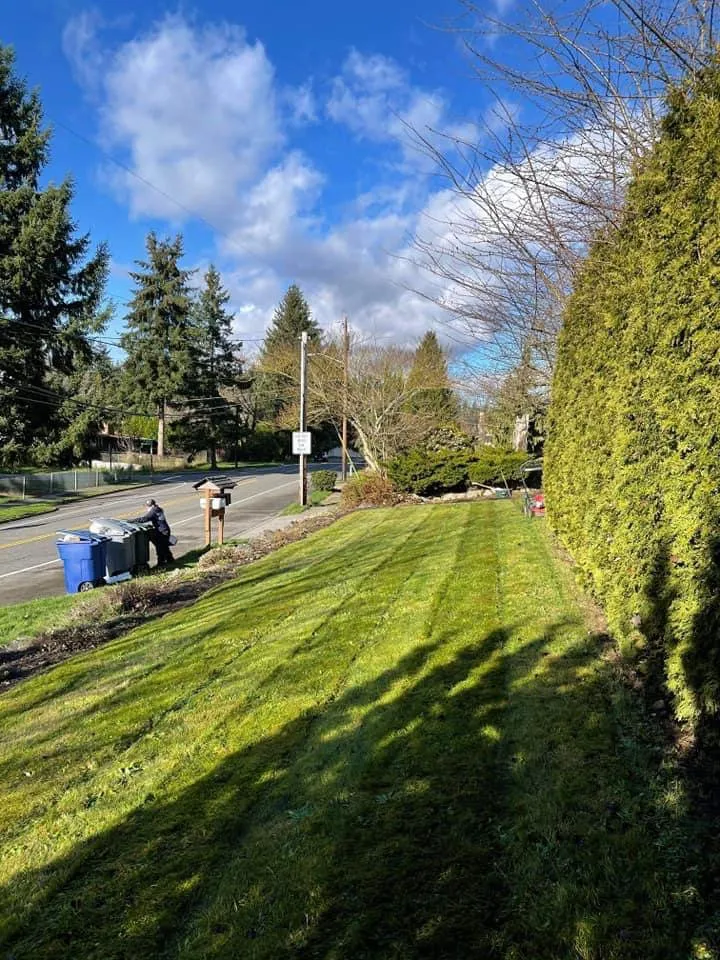 Custom residential landscaping experts serving Edmonds, WA - Montiel Landscaping Service