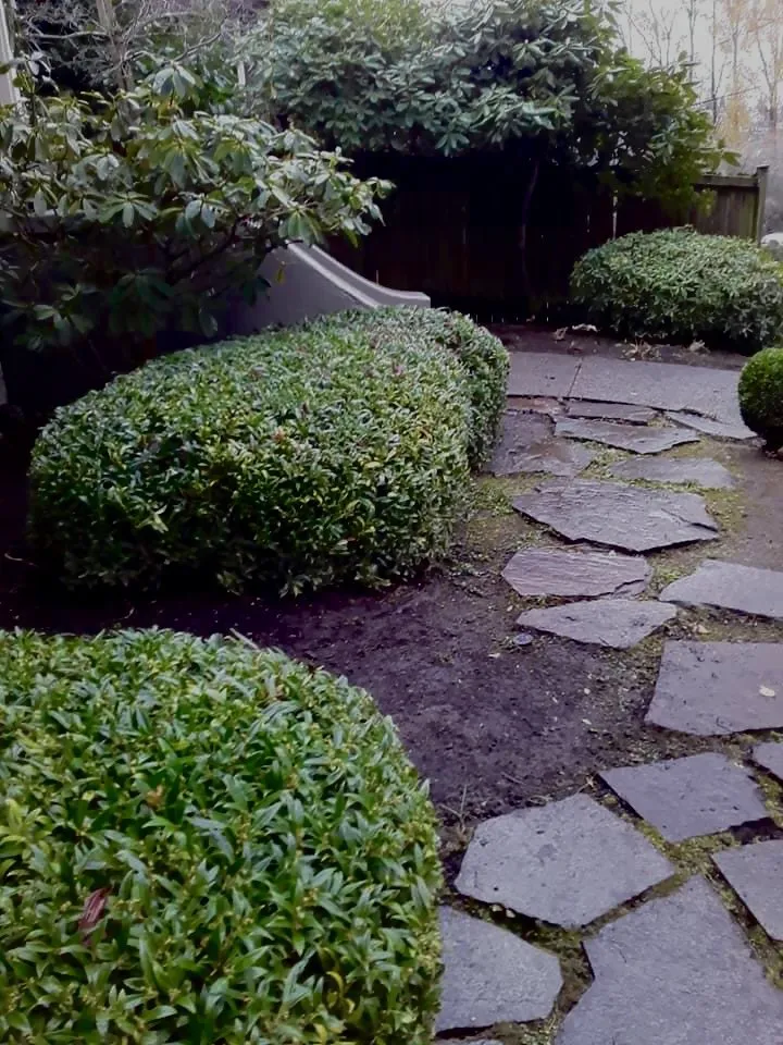 Affordable lawn mowing service in Edmonds, WA by Montiel Landscaping Service