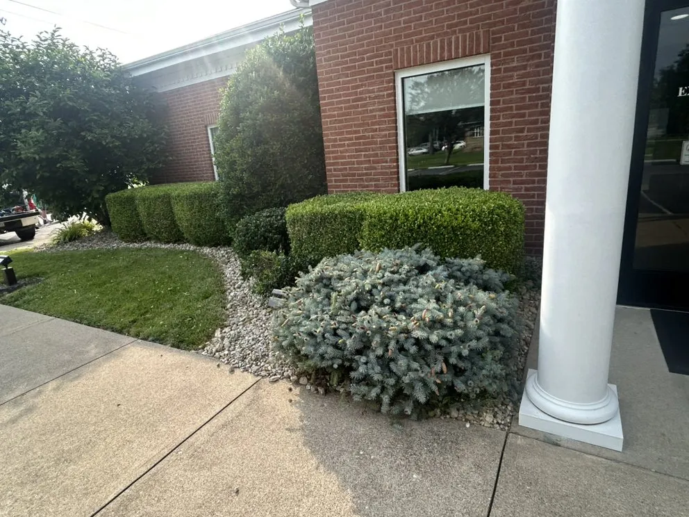 Local yard maintenance experts serving Tollesboro, KY - Montieth Lawn Care and Snow Removal