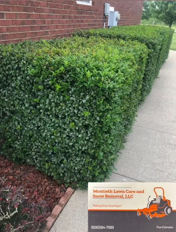 Custom outdoor landscaping for residential properties across Tollesboro, KY - Montieth Lawn Care and Snow Removal