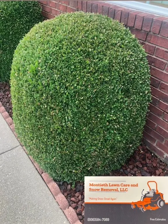 Trusted lawn care service experts serving Tollesboro, KY - Montieth Lawn Care and Snow Removal