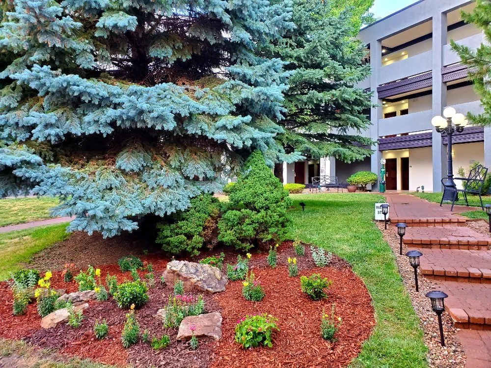 Expert lawn mowing service in Santa Fe, NM by Montijo Landscaping