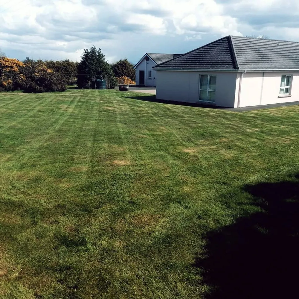 Professional garden landscaping for homes in Seattle, WA by Montlake Lawn Care