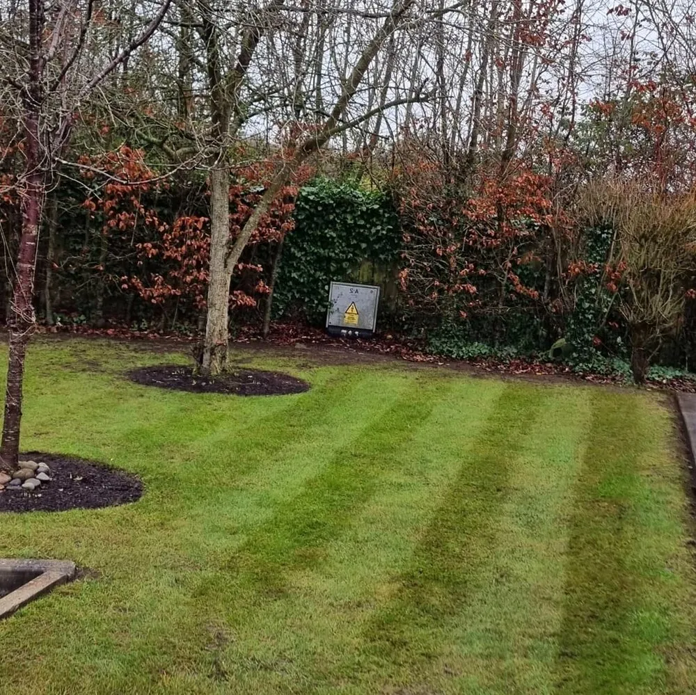 Affordable lawn mowing service for residential properties across Seattle, WA - Montlake Lawn Care
