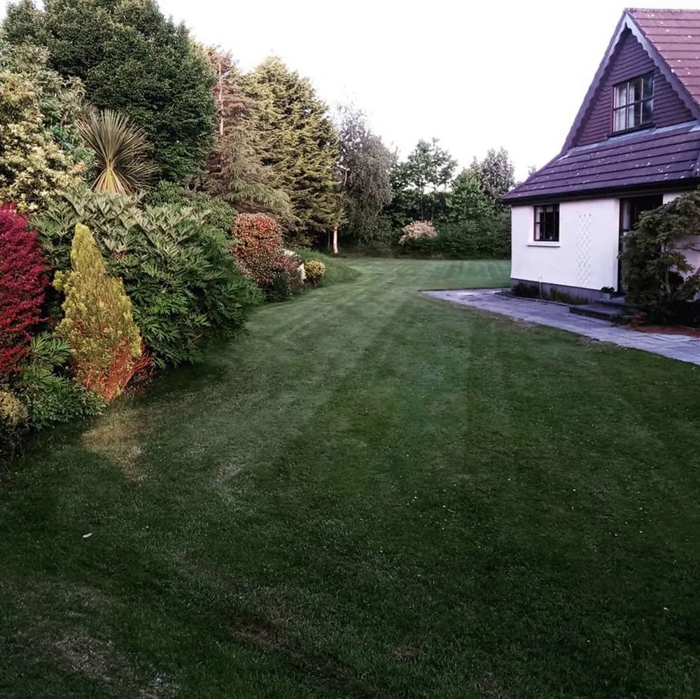 Top-rated residential landscaping experts serving Seattle, WA - Montlake Lawn Care