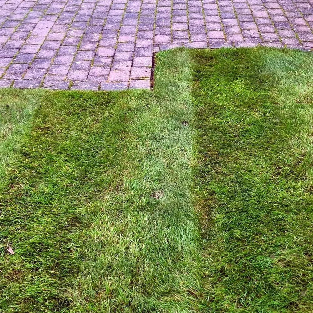 Professional outdoor landscaping for outdoor upgrades in Seattle, WA by Montlake Lawn Care