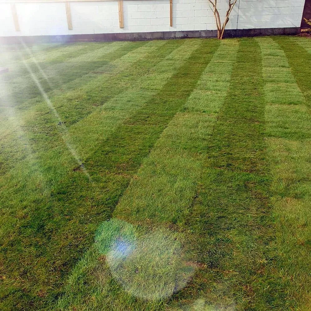 Trusted lawn mowing service with custom design across Seattle, WA - Montlake Lawn Care