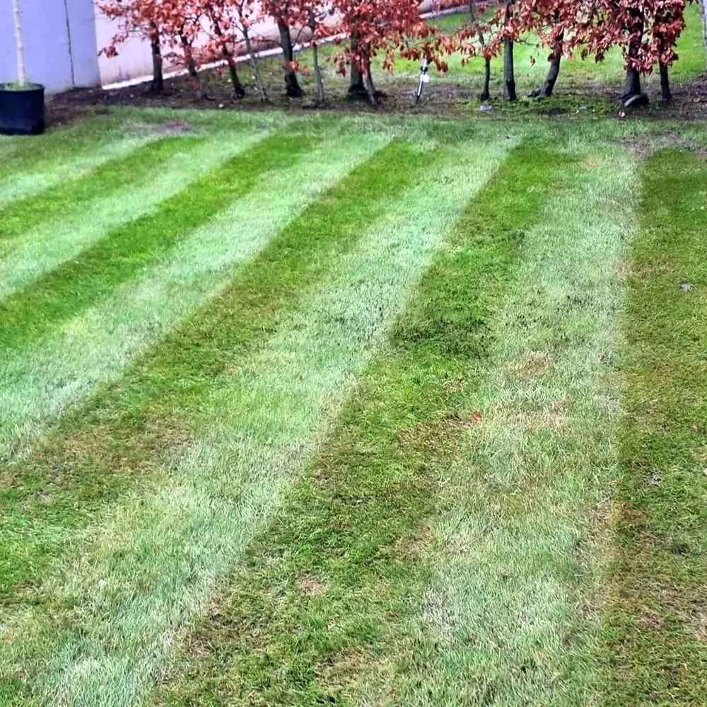 Expert lawn mowing service in Seattle, WA by Montlake Lawn Care