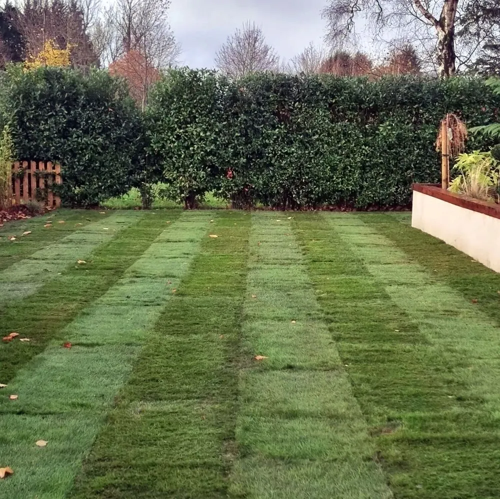 Expert landscape design in Seattle, WA - Montlake Lawn Care