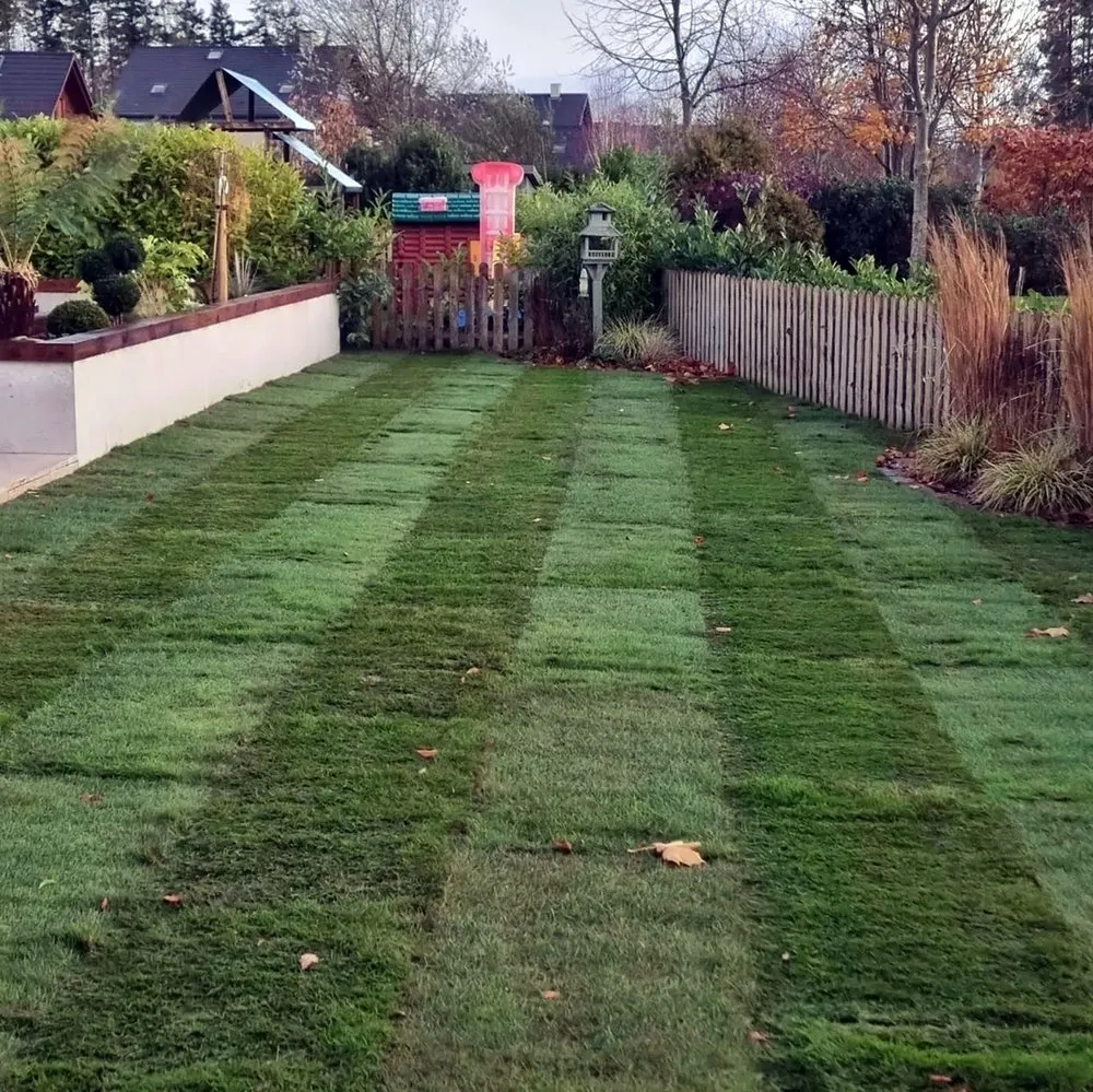 Custom yard cleanup service in Seattle, WA by Montlake Lawn Care