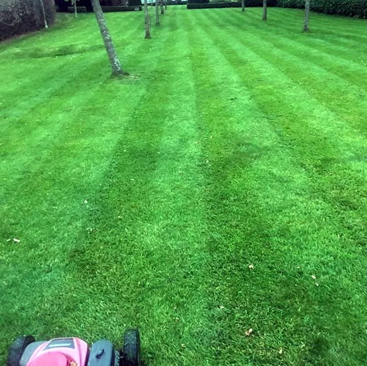 Reliable residential landscaping experts serving Seattle, WA - Montlake Lawn Care