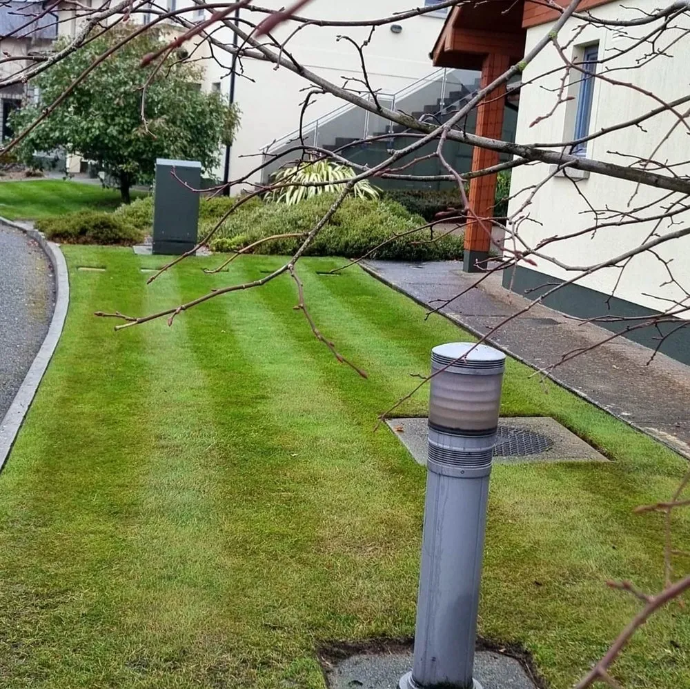 Affordable lawn care service with custom design in Seattle, WA by Montlake Lawn Care