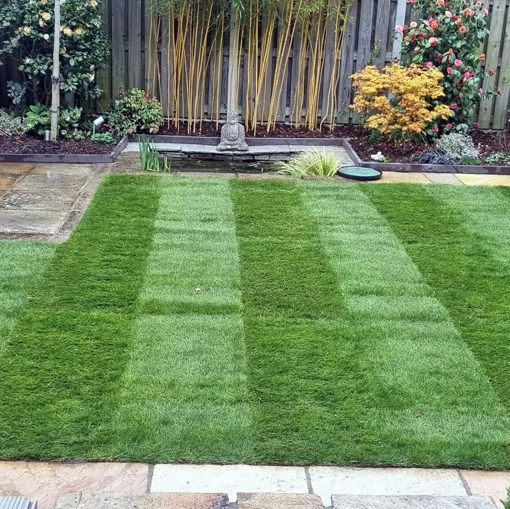 Custom lawn care service experts serving Seattle, WA - Montlake Lawn Care