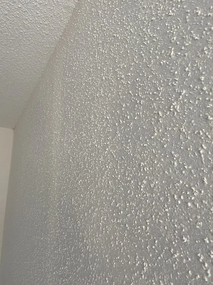 Local yard maintenance experts serving Seattle, WA - Montoya General Contractor