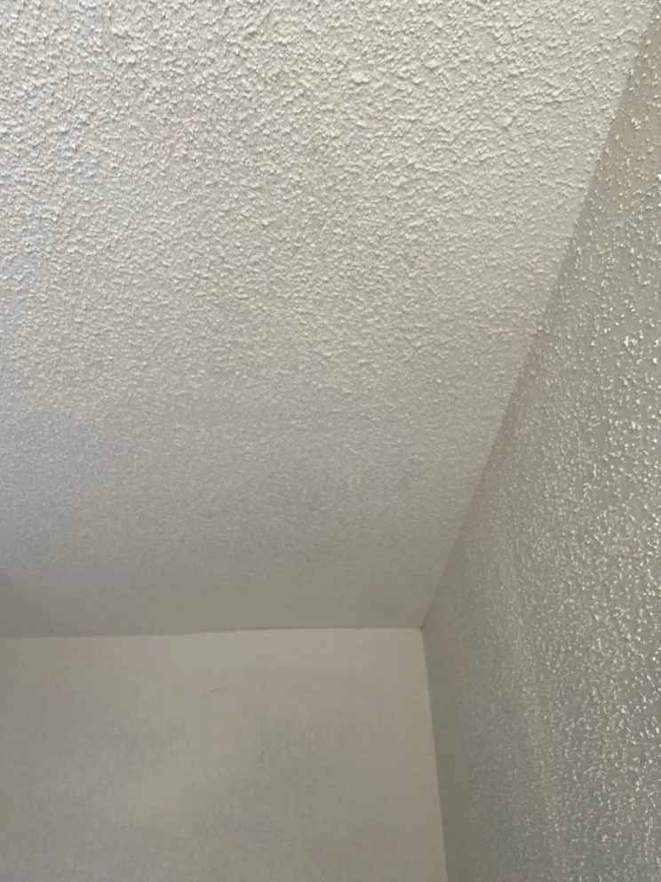 Trusted yard cleanup service in Seattle, WA - Montoya General Contractor