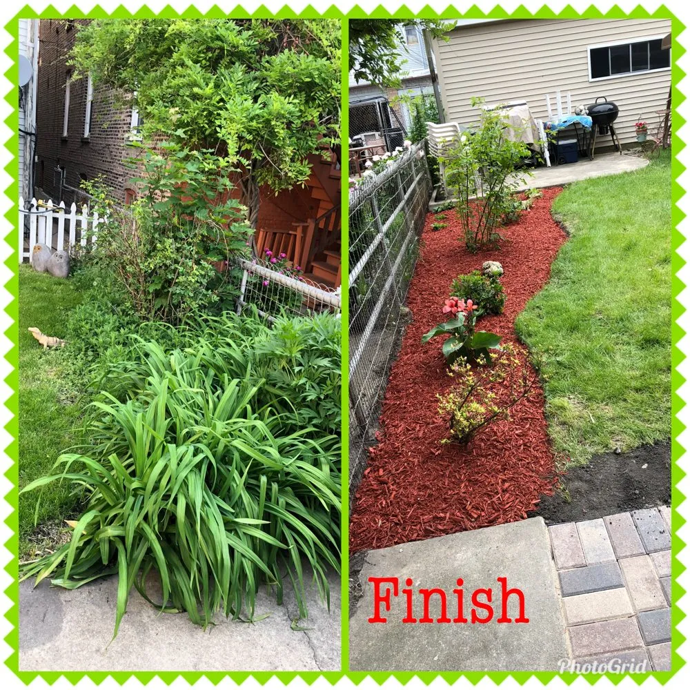 Expert yard cleanup service for residential properties across Chicago, IL - Montoya Landscapes