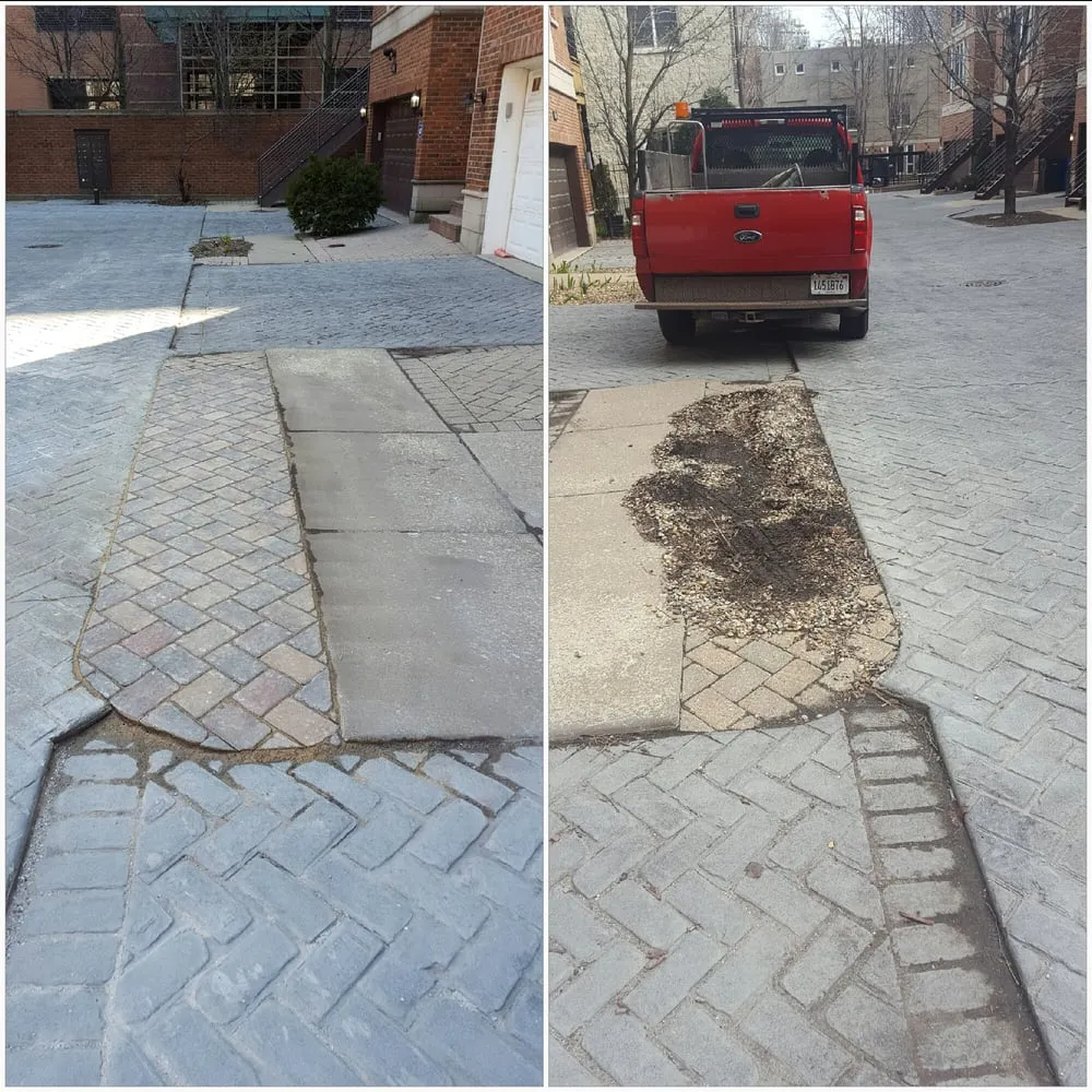 Expert yard cleanup service in Chicago, IL - Montoya Landscapes