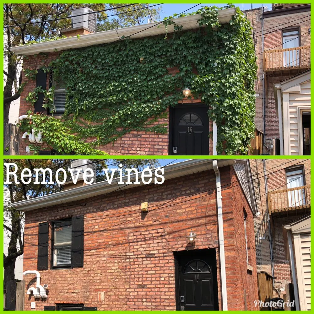 Expert landscaping services for homes across Chicago, IL - Montoya Landscapes