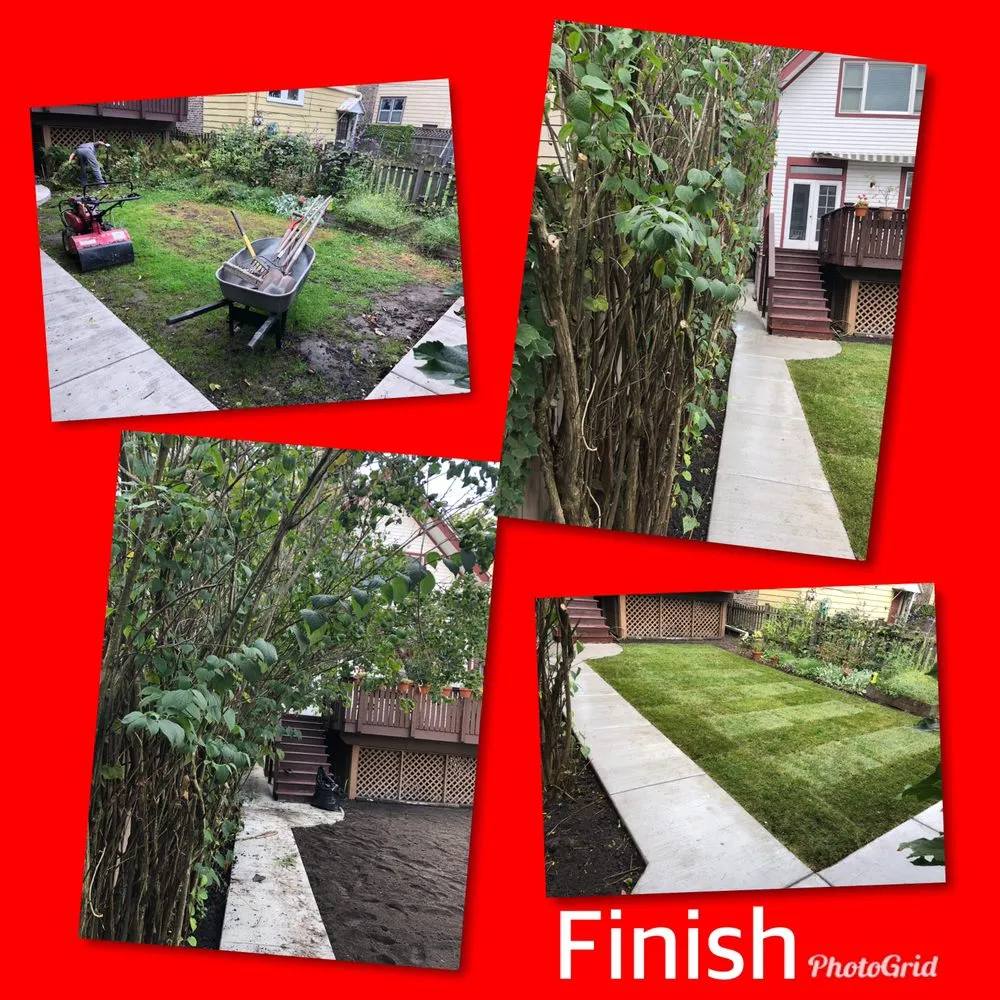 Professional garden landscaping experts serving Chicago, IL - Montoya Landscapes