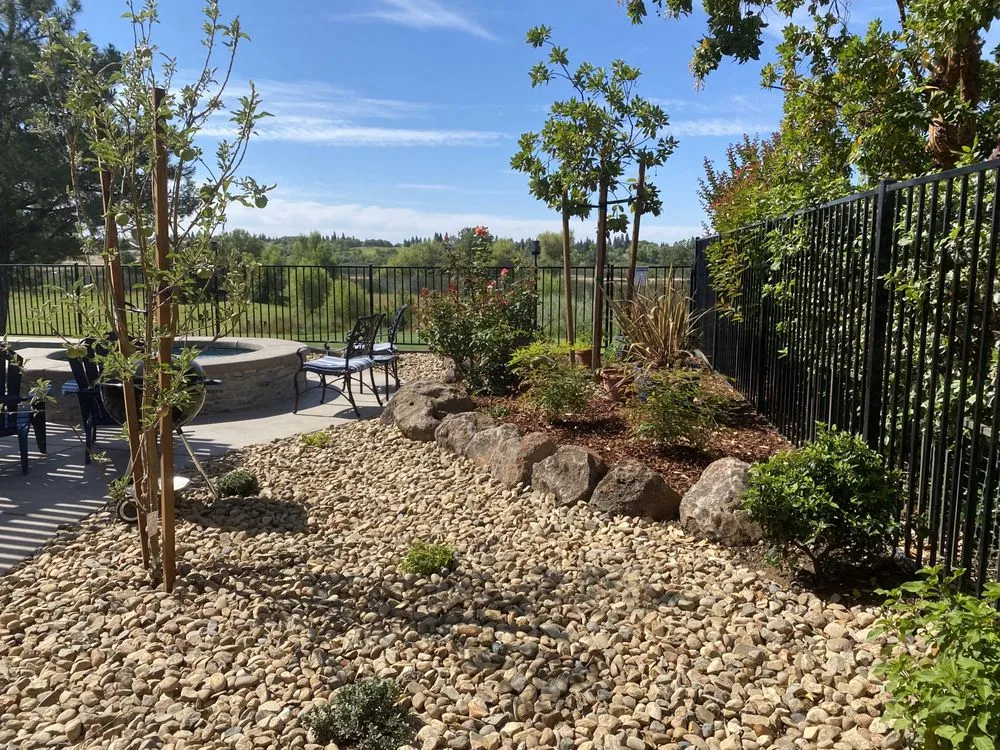 Affordable yard cleanup service near you in Sacramento, CA by Montoya Lawn Service