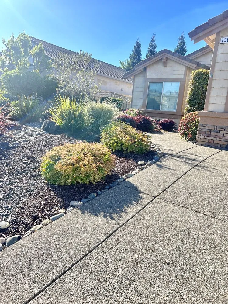 Local yard cleanup service in Sacramento, CA by Montoya Lawn Service