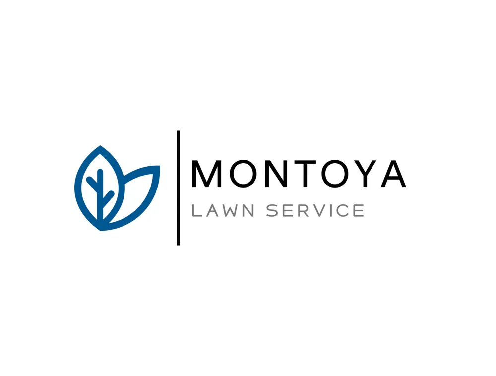 Professional landscaping services in Sacramento, CA - Montoya Lawn Service