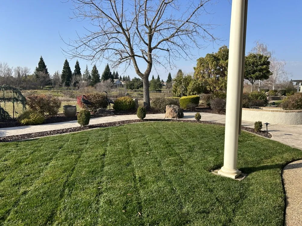 Custom lawn mowing service for residential properties across Sacramento, CA - Montoya Lawn Service