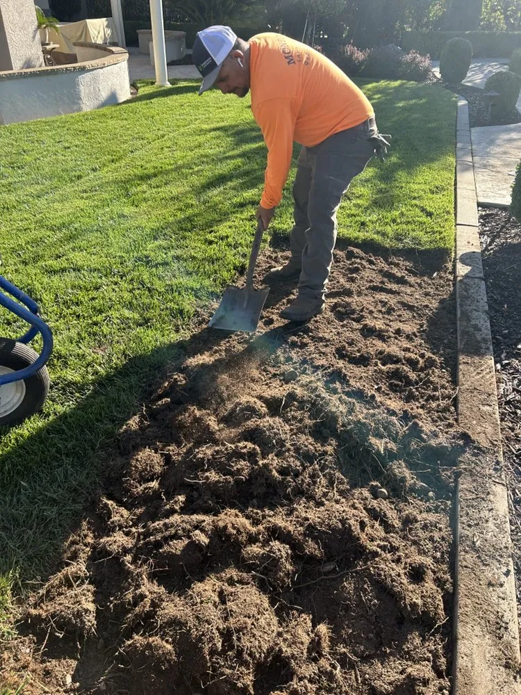 Reliable yard maintenance in Sacramento, CA - Montoya Lawn Service