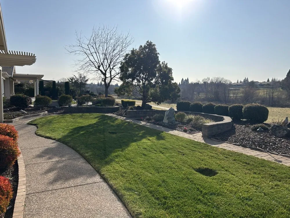 Expert outdoor landscaping in Sacramento, CA - Montoya Lawn Service