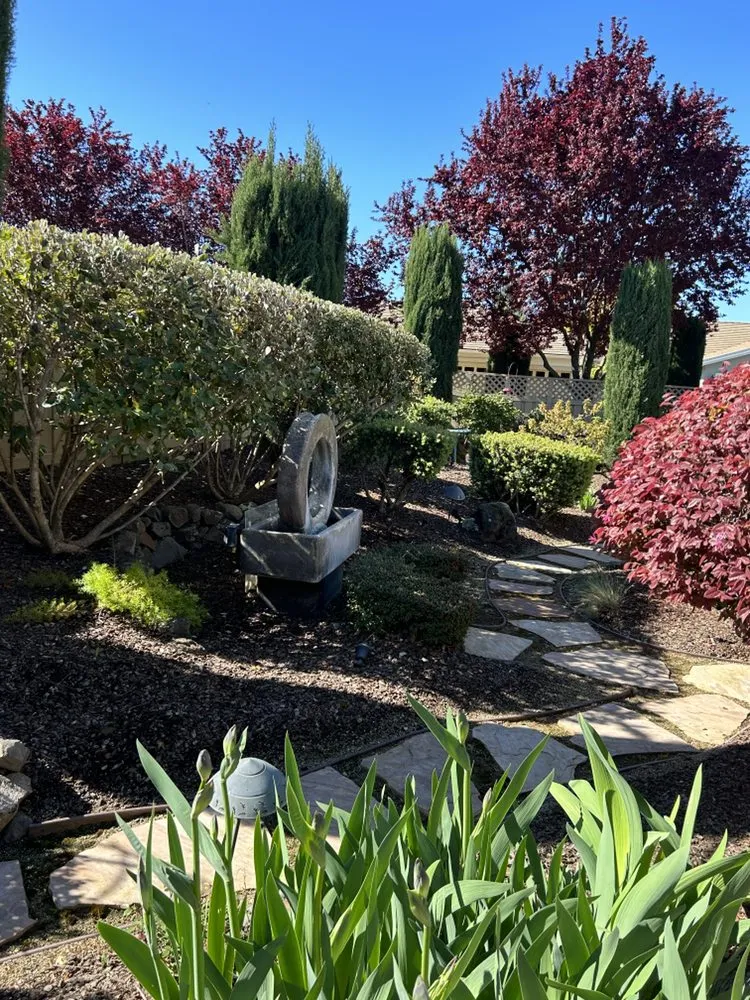 Affordable lawn mowing service for residential properties across Sacramento, CA - Montoya Lawn Service