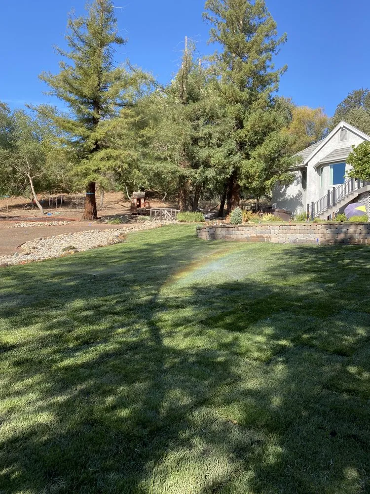Professional landscape installation for homes in Sacramento, CA by Montoya Lawn Service